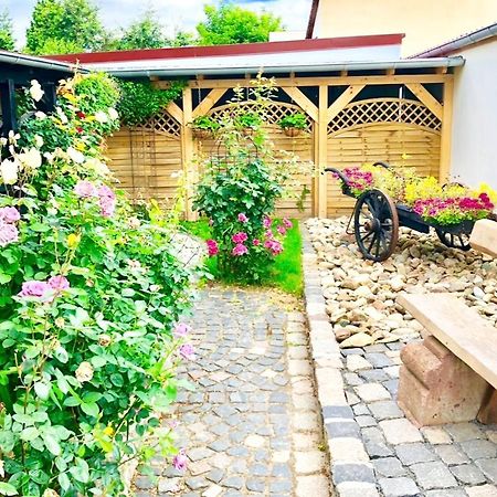 Ferienwohnungen Grimma 4 Kültér fotó